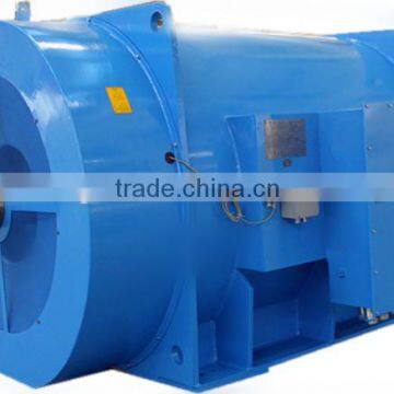 High Voltage Electric Motor