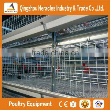 Trade Assurance Automatic Chicken Broiler Cage for Sale photo-5