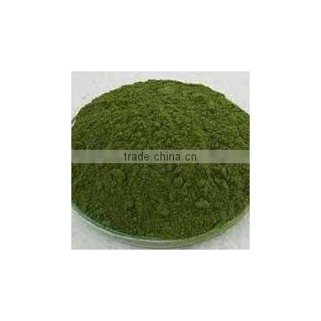 Dried papaya leaf powder