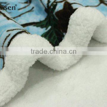 Chinese Supplier Custom Printing Double Layer Fleece Blanket photo-3