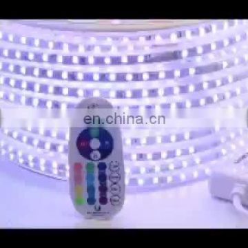 Flexible Waterproof High voltage 110V IP67 RGB Led Light Strip