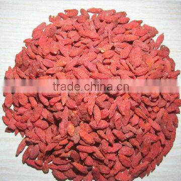 Ningxia Goji Berry,Wolfberry