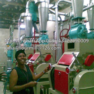 30tpd Maize Flour Milling Machine Small Corn Flour Mill Plant With Best Price in Kenya