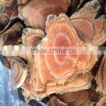 Sargentodoxa Cuneata photo-4