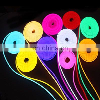 IP65 Strip Neon Rope Light 110V 220V 24V 12V RGB LED Neon Light