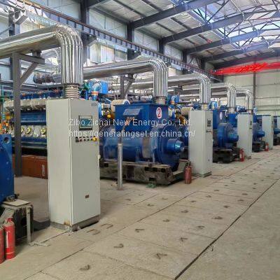 Multi-Gas Generating Solution Provider 10.5kv Biomass Gas Power Generators Set photo-5