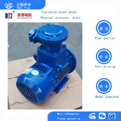 Dust Explosion-proof Motor