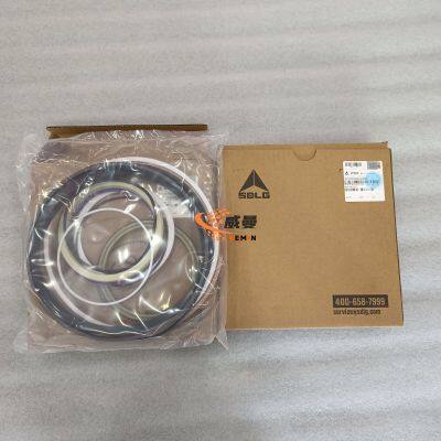 Original SDLG CYLINDER SEALING RING KIT 4120006001021 4120005979001 4120005995003 for LG956F LG958L WHEEL LOADER PARTS photo-3