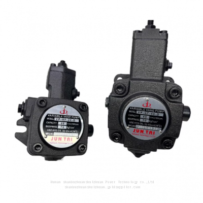 Hydraulic Oil Pumps VP30 Vane Pumps VP-SF-20-D VP-SF-12/15-D VP-SF-30/40-D photo-3