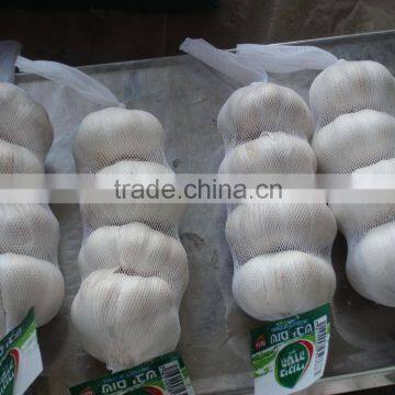 garlic fresh,garlic fresh peeled garlic bulk chinese garlic supply,2016 Crop Chinese fresh garlic