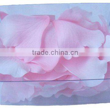 36pcs Silk Rose Petal in PVC Box