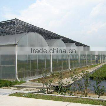 Multi-span hydroponic agricultural film greenhouse