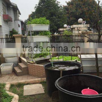 2015 New Aquaponics Hydroponics System Fish Tank 1 Ton photo-4