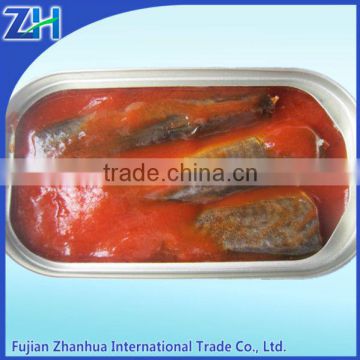 canned mackerel in oil atlantic mackerel scomber scombrus in brine