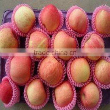 EPE colorful fruit and vegetable packaging foam nets