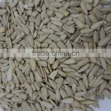 Bakery Sunflower Kernels no Shell Edible Directly photo-6