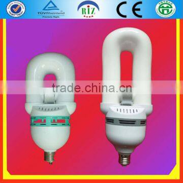 23w self ballast induction lamp