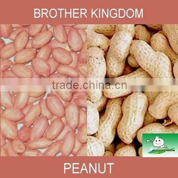 Peanut/Peanut kernel/Peanut in shell