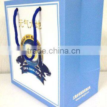 Fashionable Paper Bag