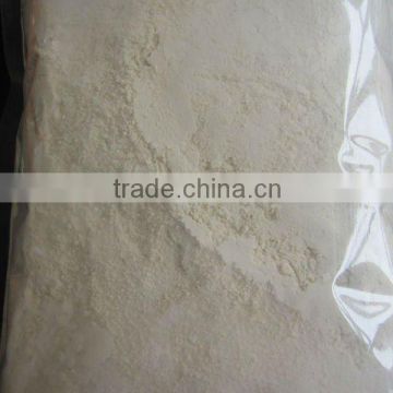 2013 crop good quality dired garlic powder