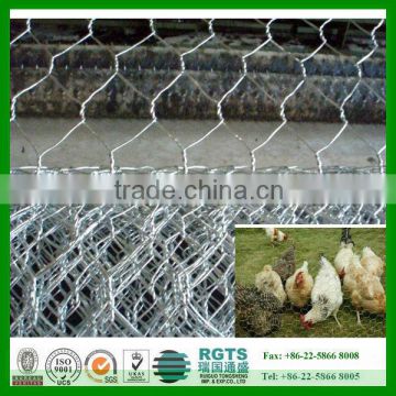 hexagonal wire mesh/ chicken wire mesh best selling