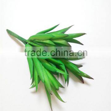 Popular High Simulation Artificial Succulent Plant From China Manufacture photo-3