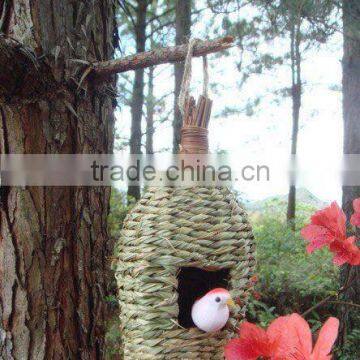 bird nest pocket