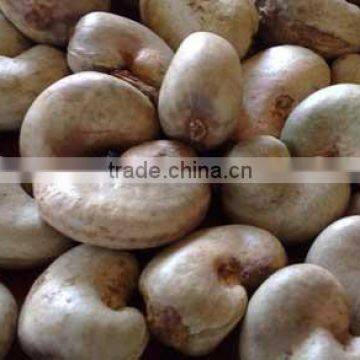 Raw Cashew Nuts in Nigeria