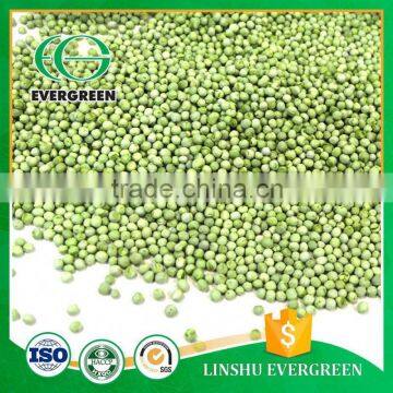 Wholesale New Crop Small Dehydrated FD Green Peas