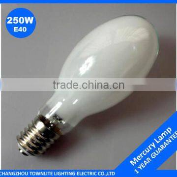 high pressure mercury bulb 250w