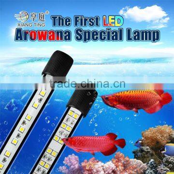 aquarium LED lighting for arowana fish