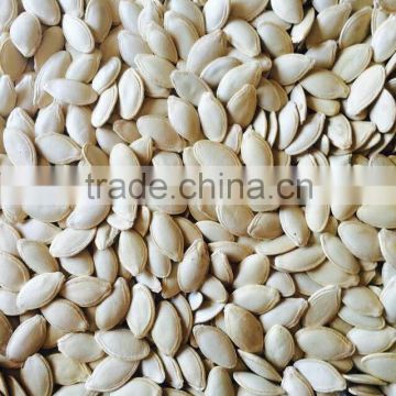 2015 Chinese Shine Skin Pumpkin seeds 10cm 11cm 11 mm