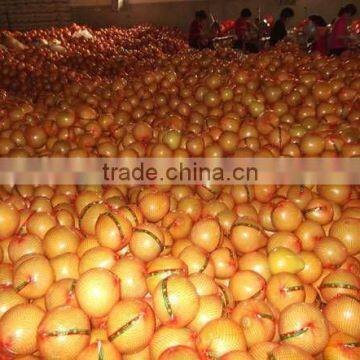 Top GuanXi honey pomelo