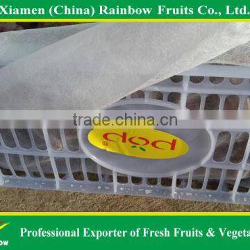 Organic Table Grape fresh globe grape from china