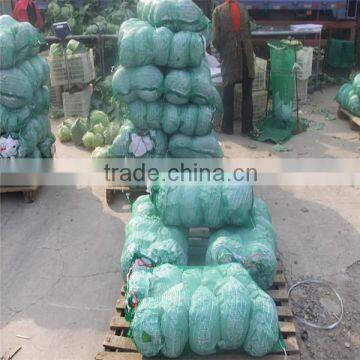 New crop cabbage price in China