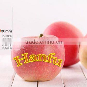 China Supplier of Fresh Red Delicious Bulk Fresh Apples Hanfu Apple Products photo-4