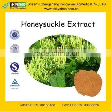 GMP Factory Supply Honeysuckle Flower Extract Chlorogenic Acid