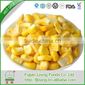 2015 FREEZE DRIED CORN KERNEL POWDER DRY FOOD