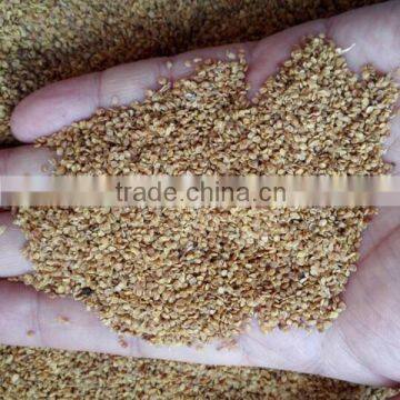 Goji Berry Seed/NQ-1/NQ-7 Goji Seeds/For Plant photo-2
