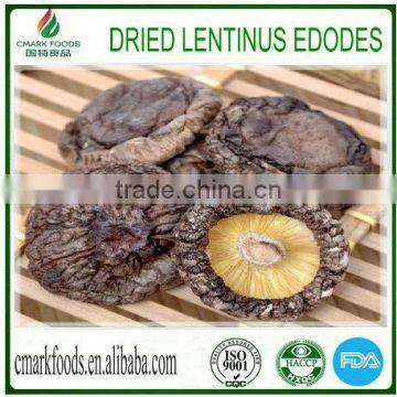 Dried Lentinus Mushroom