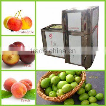 Industrial Fruit Corer Peach Corer photo-3