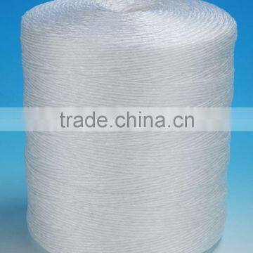 2014 China best Vegetable PP packing rope