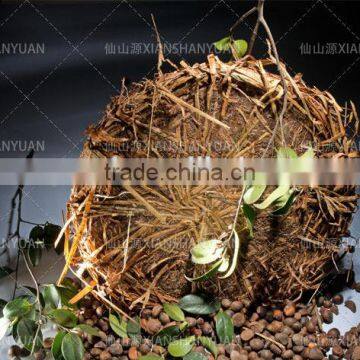 XianShanYuan Tea Seed Cake With Straw