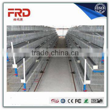 Trade assurance 100% payment guarantee factory 4 tier chicken layer battery cage for tanzania poultry farm