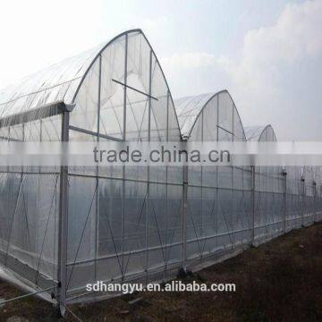 Economical Commercial Polycarbonate Sheet Greenhouse photo-4