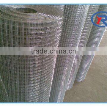 Galvanized Steel Wire Mesh Square Wire Mesh Weld Mesh Panel Popular photo-5