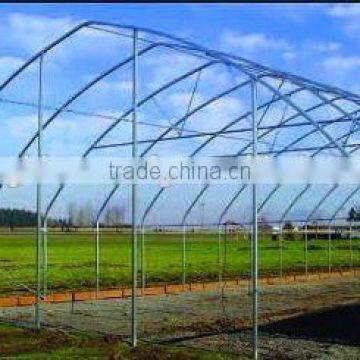 Gothic Arch Greenhouse for Sale Commercial Greenhouse photo-3