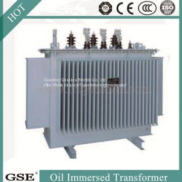 Power Transformer/Oil Immersed Power Distribution Transformer/800kVA Transformer photo-3