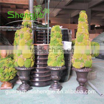 SJLJ013241 plastic moss plant / artificial plant for home garden decoration