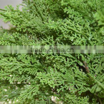 SJ041118 Fake Decorative Bonsai Pine Needle Plant Bonsai Tree Plastic Plant photo-3